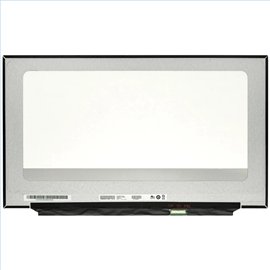 Ecran LCD LED pour HP ENVY 17-CG0175NG 17.3 1920x1080