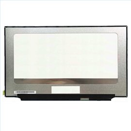 Dalle écran LCD LED type Optronics B173ZAN03.1 17.3 3840x2160